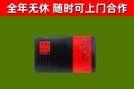 精河回收阿胶