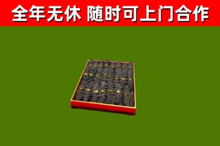 精河回收海参